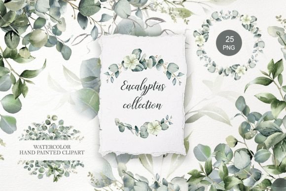 Eucalyptus Clipart: Watercolor Greenery Illustrations