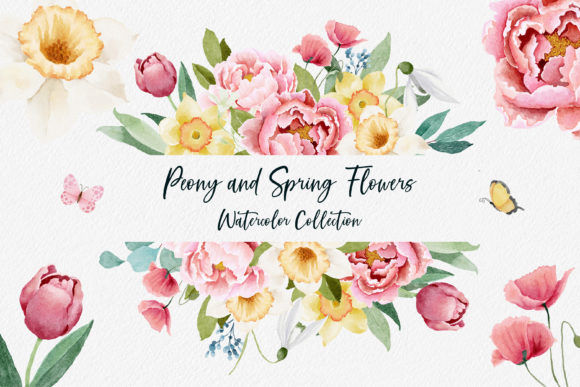 Watercolor Peony and Spring Flowers Illustrations Review