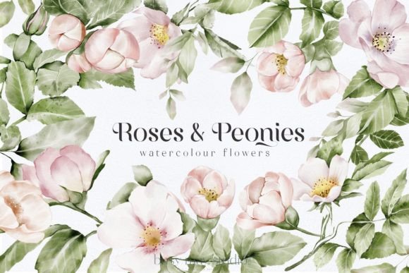 Watercolor Roses Peonies Clip Art PNG Review